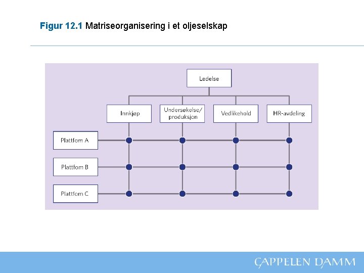 Figur 12. 1 Matriseorganisering i et oljeselskap 