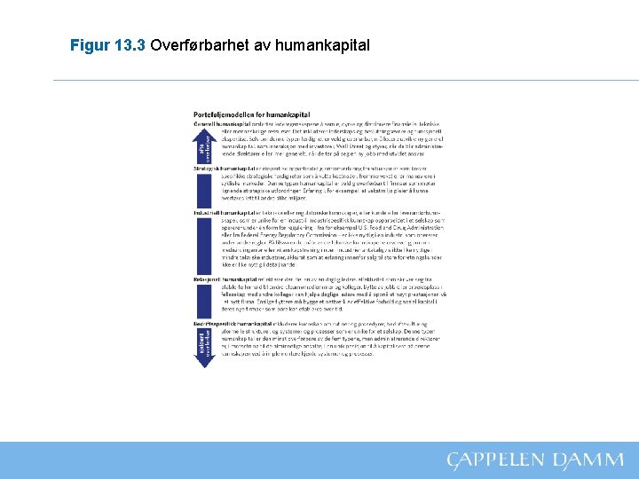 Figur 13. 3 Overførbarhet av humankapital 