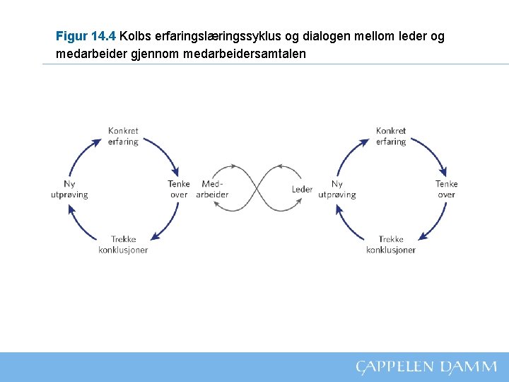 Figur 14. 4 Kolbs erfaringslæringssyklus og dialogen mellom leder og medarbeider gjennom medarbeidersamtalen 