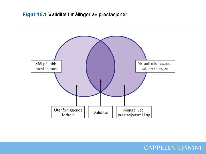 Figur 15. 1 Validitet i målinger av prestasjoner 