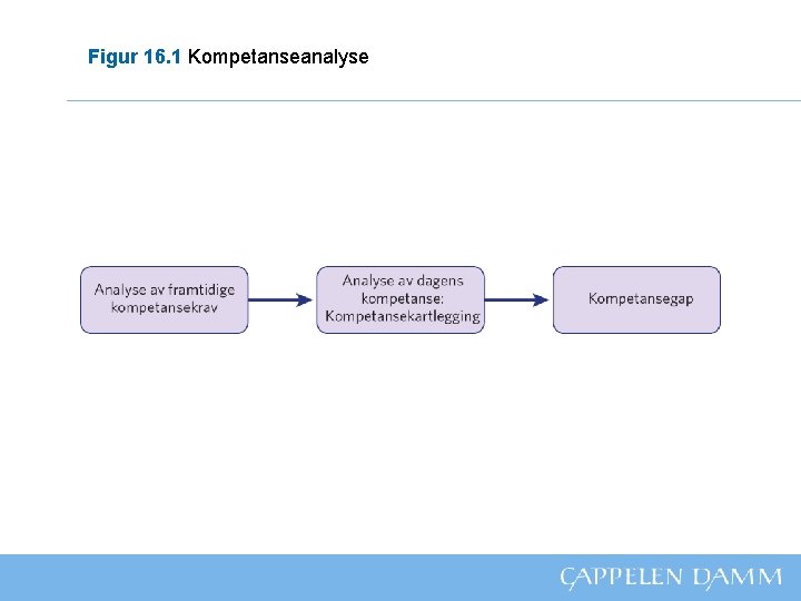 Figur 16. 1 Kompetanseanalyse 