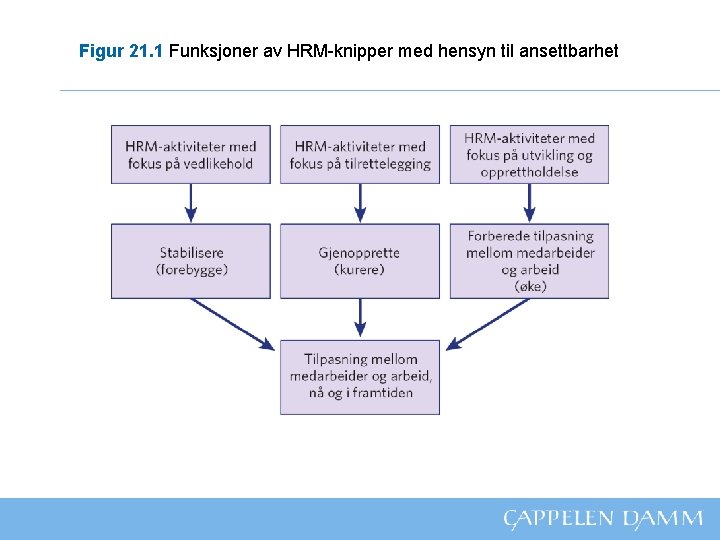 Figur 21. 1 Funksjoner av HRM-knipper med hensyn til ansettbarhet 