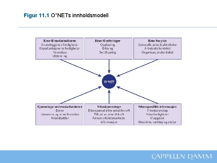 Figur 11. 1 O*NETs innholdsmodell 