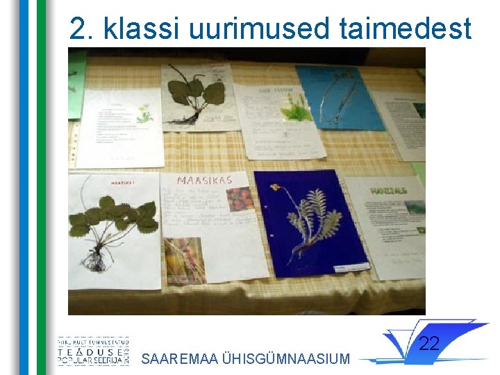 2. klassi uurimused taimedest SAAREMAA ÜHISGÜMNAASIUM 22 