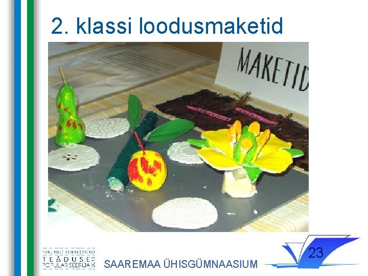 2. klassi loodusmaketid SAAREMAA ÜHISGÜMNAASIUM 23 