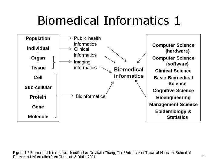 Biomedical Informatics 1 Figure 1. 2 Biomedical Informatics: Modified by Dr. Jiajie Zhang, The