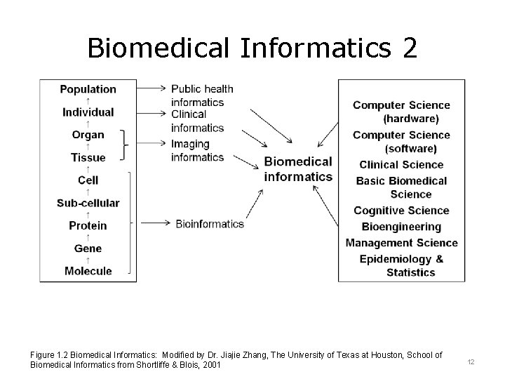 Biomedical Informatics 2 Figure 1. 2 Biomedical Informatics: Modified by Dr. Jiajie Zhang, The