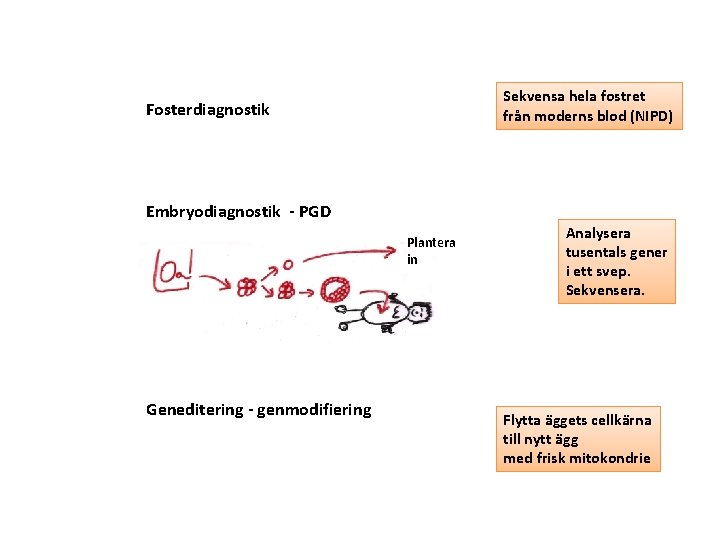 Sekvensa hela fostret från moderns blod (NIPD) Fosterdiagnostik Embryodiagnostik - PGD Plantera in Geneditering