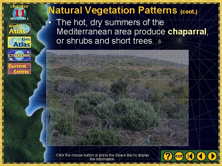 Natural Vegetation Patterns (cont. ) • The hot, dry summers of the Mediterranean area