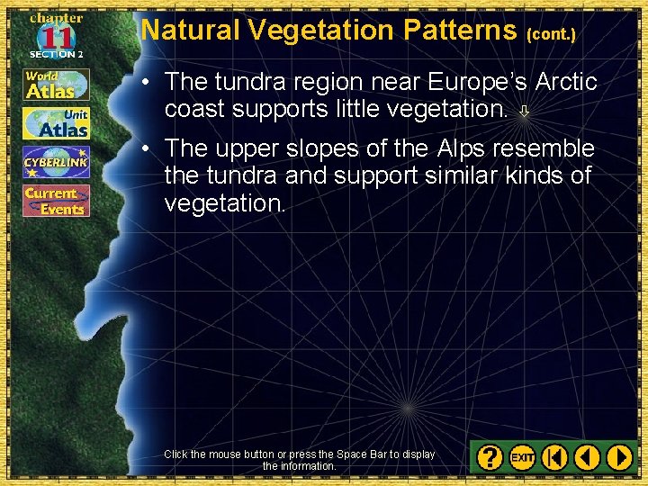 Natural Vegetation Patterns (cont. ) • The tundra region near Europe’s Arctic coast supports