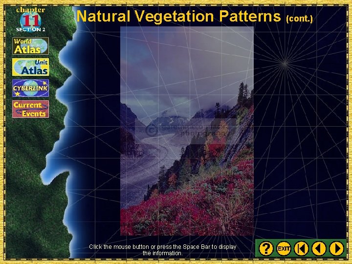 Natural Vegetation Patterns (cont. ) Click the mouse button or press the Space Bar