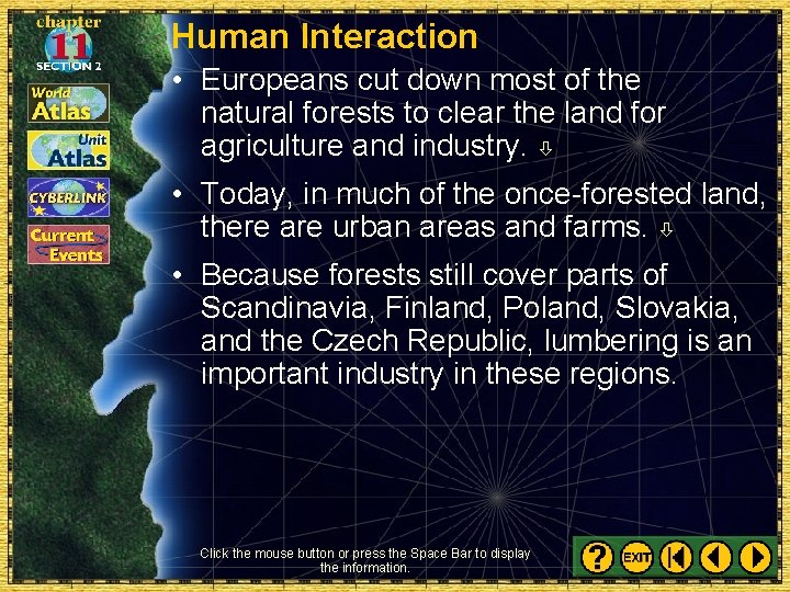Human Interaction • Europeans cut down most of the natural forests to clear the