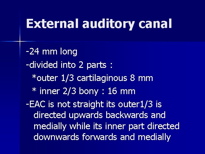 External auditory canal -24 mm long -divided into 2 parts : *outer 1/3 cartilaginous