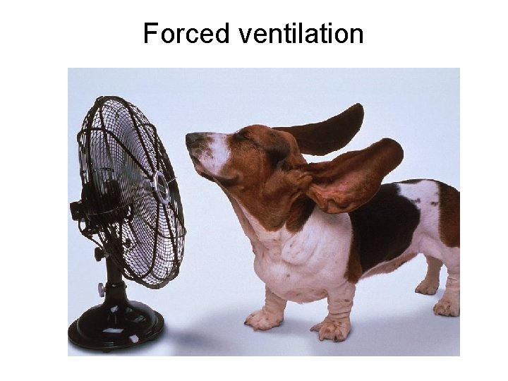 Forced ventilation 