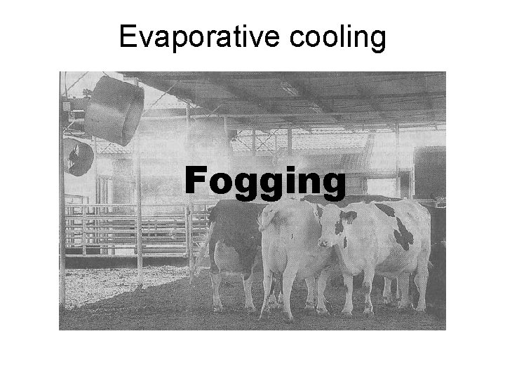 Evaporative cooling Fogging 
