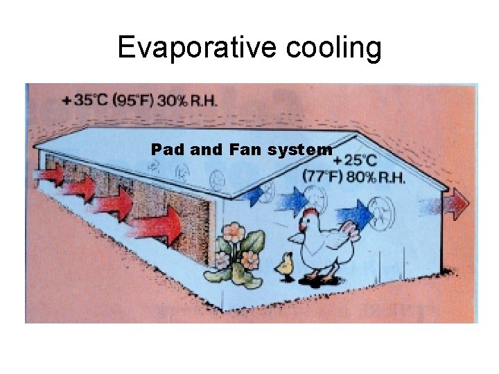 Evaporative cooling Pad and Fan system 