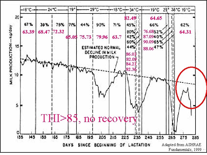 Impact of T and RH on 64. 65 milk 82. 49 production of cows
