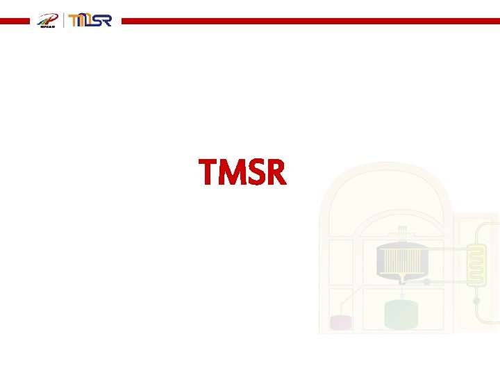 TMSR 