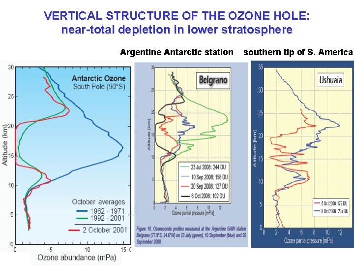 VERTICAL STRUCTURE OF THE OZONE HOLE: near-total depletion in lower stratosphere Argentine Antarctic station