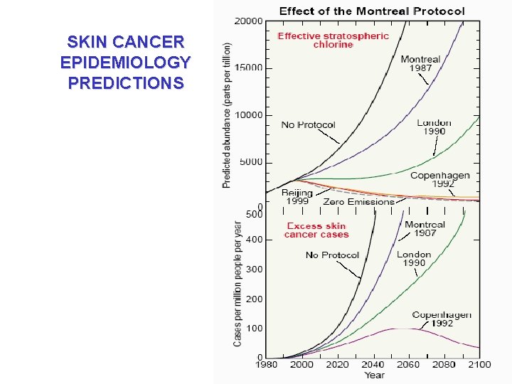 SKIN CANCER EPIDEMIOLOGY PREDICTIONS 