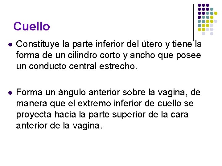 Cuello l Constituye la parte inferior del útero y tiene la forma de un