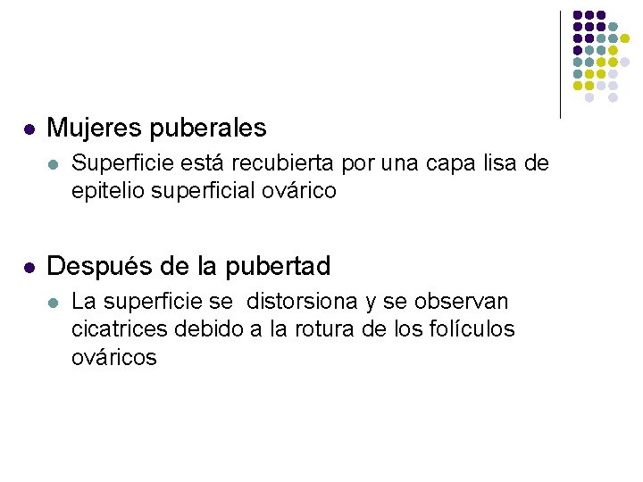 l Mujeres puberales l l Superficie está recubierta por una capa lisa de epitelio