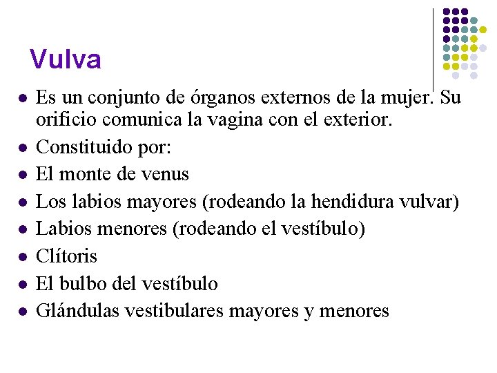 Vulva l l l l Es un conjunto de órganos externos de la mujer. Vulva l l l l Es un conjunto de órganos externos de la mujer.