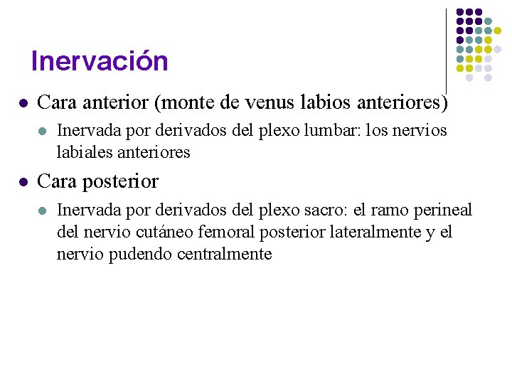 Inervación l Cara anterior (monte de venus labios anteriores) l l Inervada por derivados