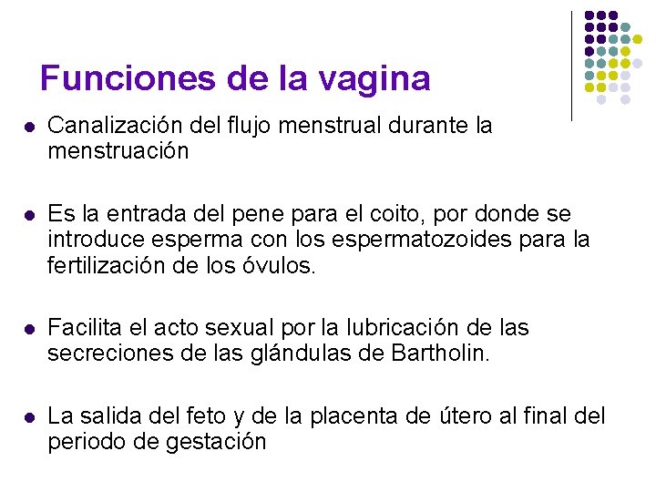 Funciones de la vagina l Canalización del flujo menstrual durante la menstruación l Es Funciones de la vagina l Canalización del flujo menstrual durante la menstruación l Es