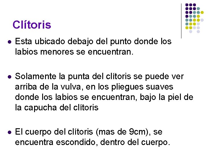 Clítoris l Esta ubicado debajo del punto donde los labios menores se encuentran. l