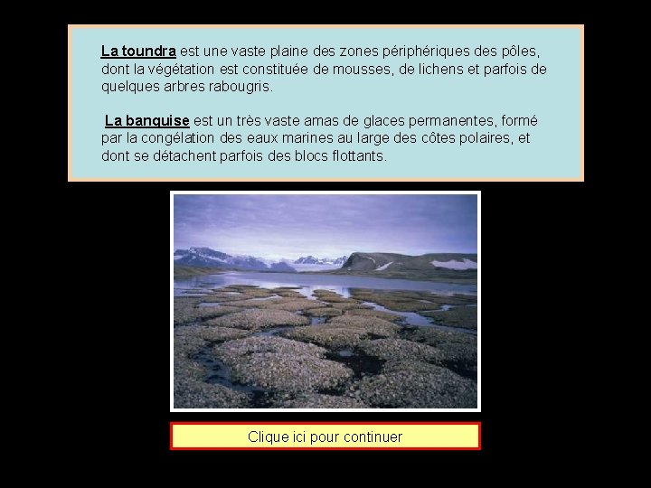 La toundra est une vaste plaine des zones périphériques des pôles, dont la végétation