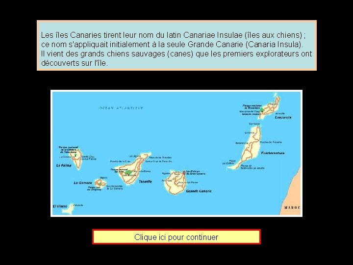 Les îles Canaries tirent leur nom du latin Canariae Insulae (îles aux chiens) ;