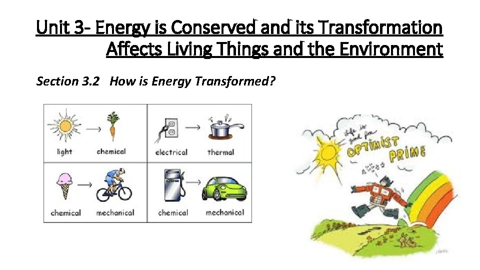 Unit 3 - Energy is Conserved and its Transformation Affects Living Things and the