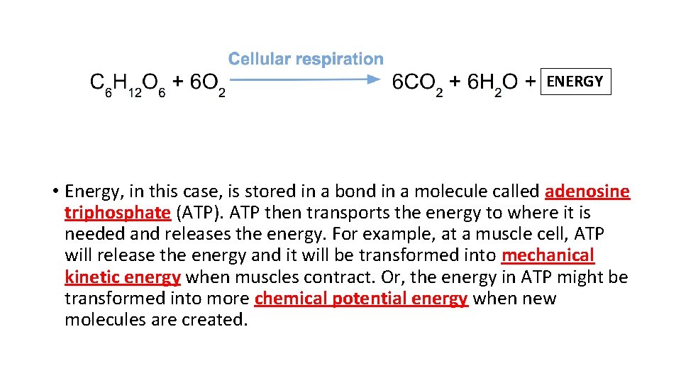 ENERGY • Energy, in this case, is stored in a bond in a molecule