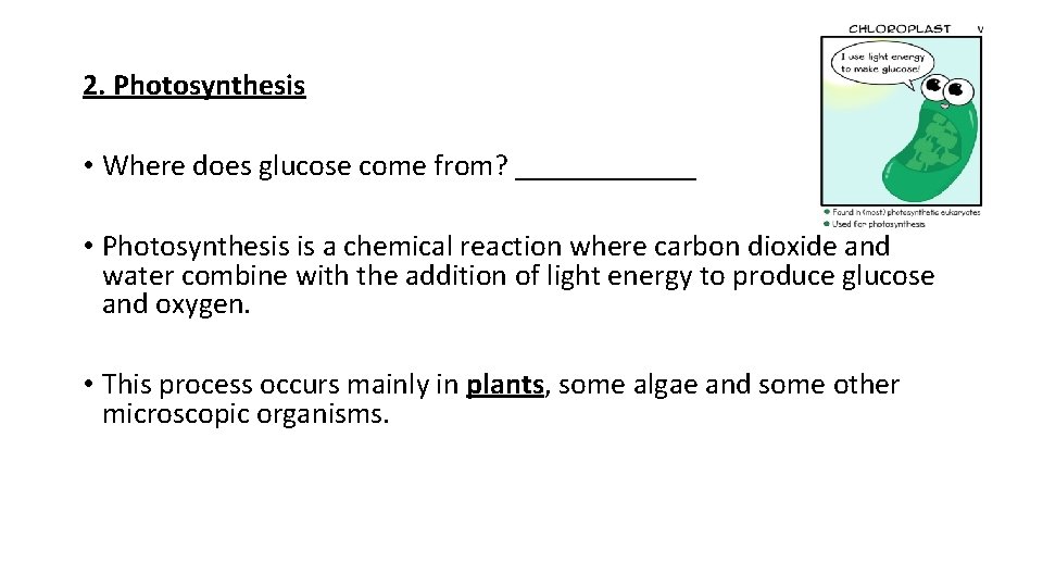 2. Photosynthesis • Where does glucose come from? ______ • Photosynthesis is a chemical