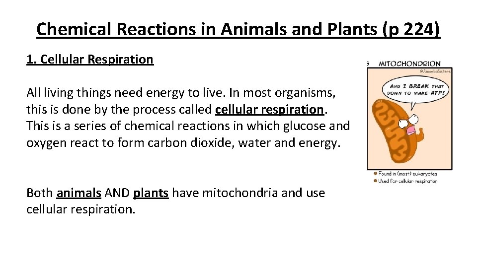 Chemical Reactions in Animals and Plants (p 224) 1. Cellular Respiration All living things