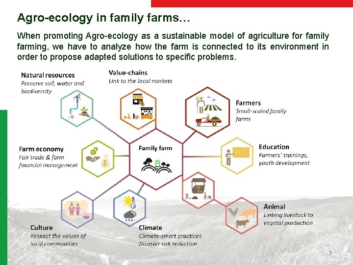 Agro-ecology in family farms… When promoting Agro-ecology as a sustainable model of agriculture for