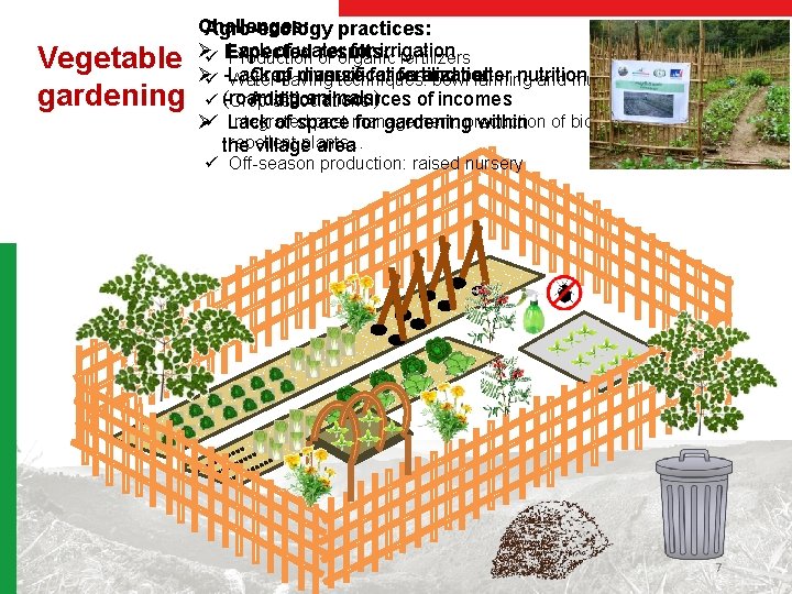 Vegetable gardening Challenges: Agro-ecology practices: Øü Lack of water for irrigation Expected results: Production