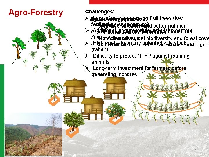 Agro-Forestry Challenges: Ø Agro-ecology Lack of maintenance on fruit trees (low practices: Expected results: