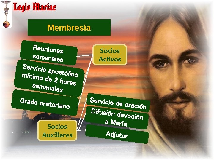 Membresía Reuniones semanales Servicio apostóli co mínimo de 2 hor as semanal es Grado