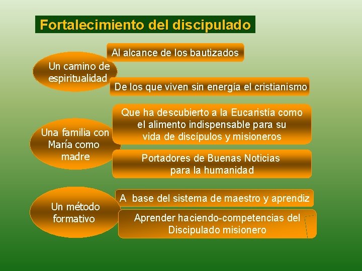 Fortalecimiento del discipulado Al alcance de los bautizados Un camino de espiritualidad Una familia