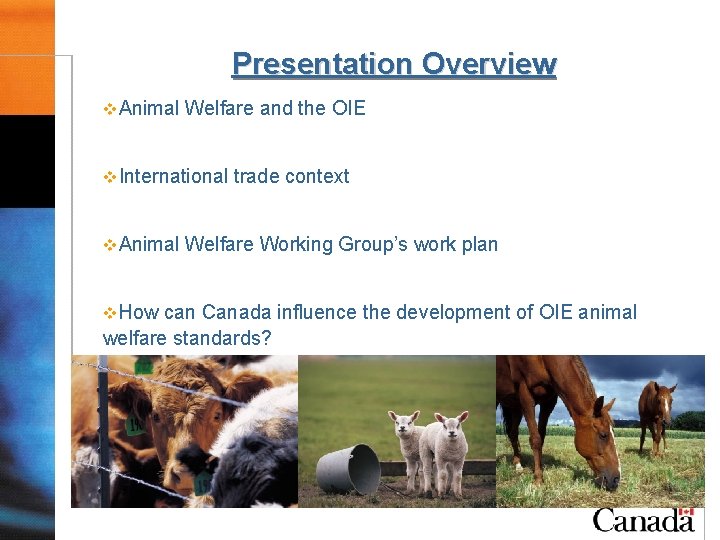 Presentation Overview v. Animal Welfare and the OIE v. International trade context v. Animal