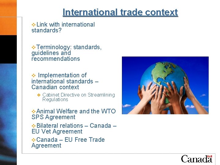International trade context v. Link with international standards? v. Terminology: standards, guidelines and recommendations