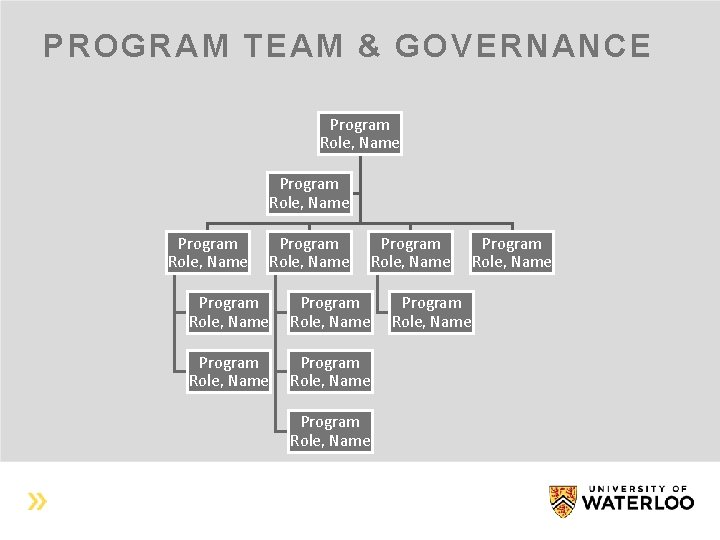 PROGRAM TEAM & GOVERNANCE Program Role, Name Program Role, Name Program Role, Name 