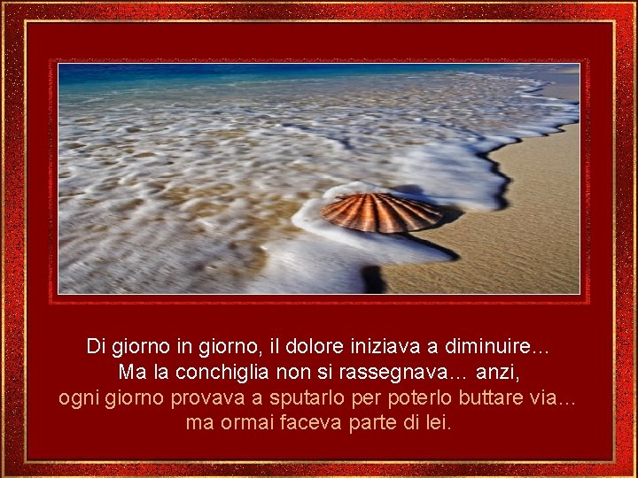 Di giorno in giorno, il dolore iniziava a diminuire… Ma la conchiglia non si