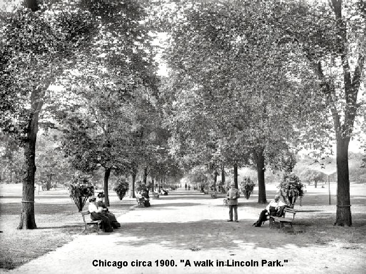 Chicago circa 1900. "A walk in Lincoln Park. " 