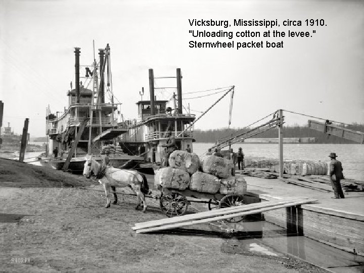 Vicksburg, Mississippi, circa 1910. "Unloading cotton at the levee. " Sternwheel packet boat 