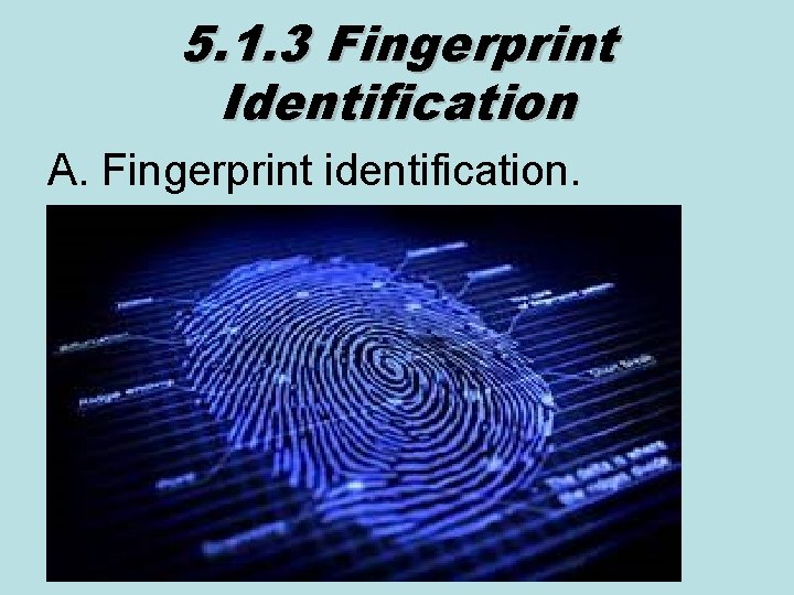 5. 1. 3 Fingerprint Identification A. Fingerprint identification. 