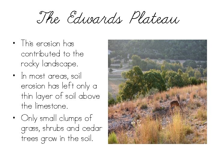 The Edwards Plateau • This erosion has contributed to the rocky landscape. • In