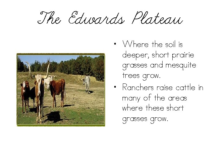 The Edwards Plateau • Where the soil is deeper, short prairie grasses and mesquite